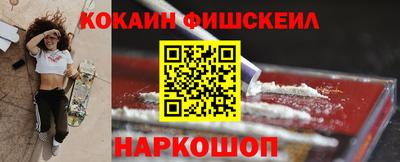 крисы Можга