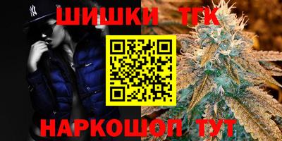 индика Можайск